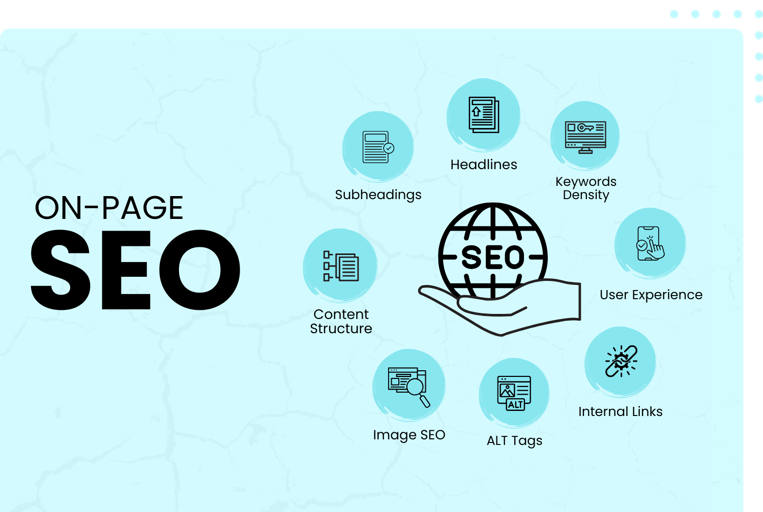 SEO expert